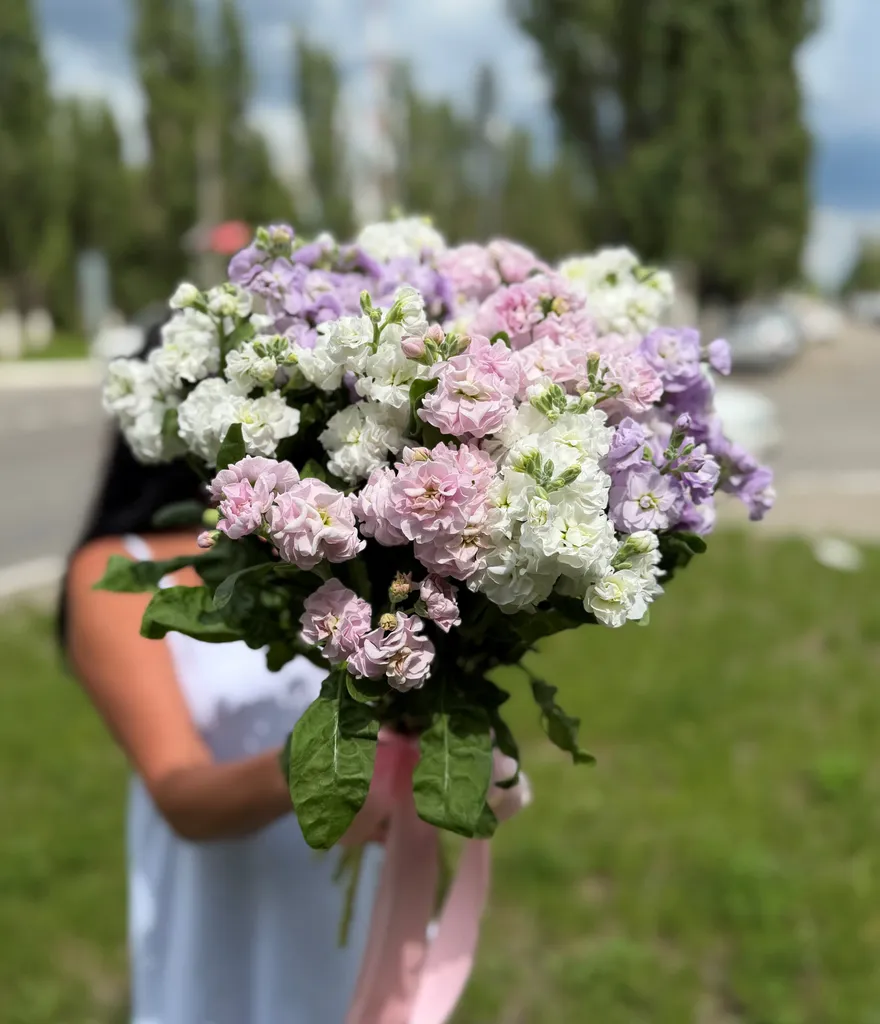 Маттиола кустовая